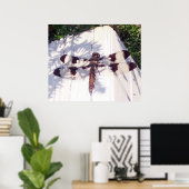 Gepunktete Libelle Poster (Heimbüro)