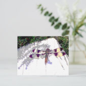 Gepunktete Libelle Postkarte (Stehend Vorderseite)