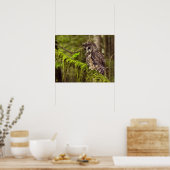 Gepunktete Nördliche Eule (Strix occidentals cauri Poster (Küche)