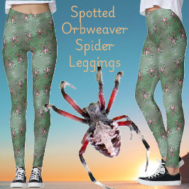 Gepunktete Orbweaver Spider Leggings
