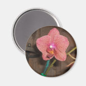 gepunktete Orchidee Magnet (Vorderseite/Rückseite)