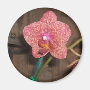 gepunktete Orchidee Magnet