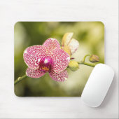 Gepunktete Orchidee Mousepad (Mit Mouse)