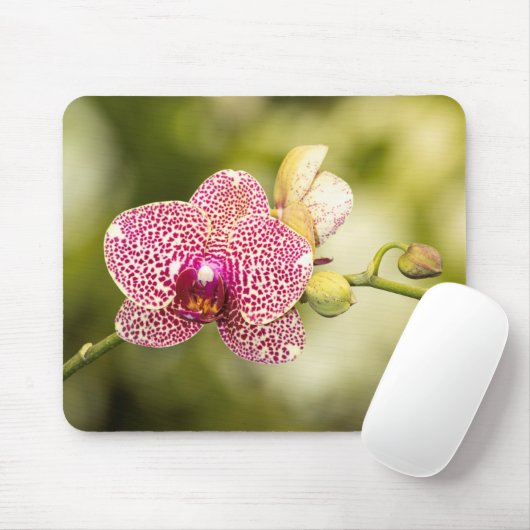 Gepunktete Orchidee Mousepad (Mit Mouse)