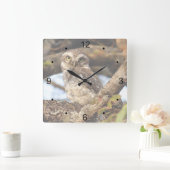 Gepunktete Owlet Quadratische Wanduhr (Zuhause)