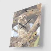 Gepunktete Owlet Quadratische Wanduhr (Winkel)