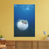 Gepunktete Porcupine Leinwanddruck (Insitu (Wohnzimmer))