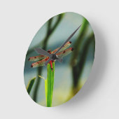 Gepunktete rote und schwarze Libelle Runde Wanduhr (Winkel)