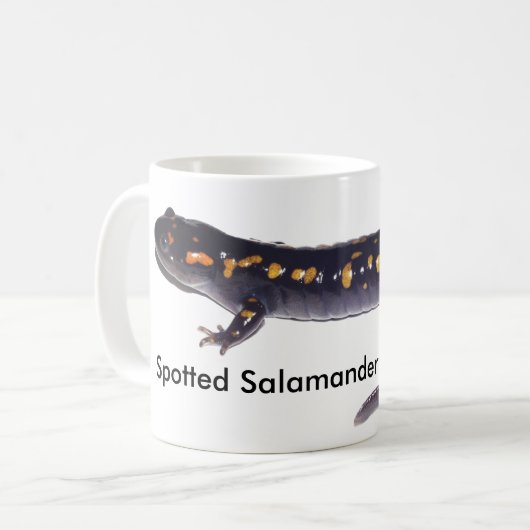 Gepunktete Salamander-Tasse Kaffeetasse (Vorderseite Links)