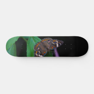 Gepunktete Schmetterlingsschuhtafel Skateboard