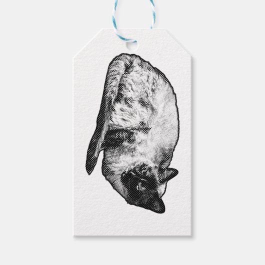 Gepunktete Schnurrhaar-Geschenknote Geschenkanhänger (Vorderseite)