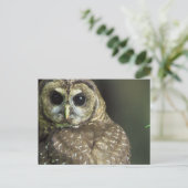 Gepunktete Schüssel Postkarte (Stehend Vorderseite)