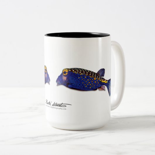 Gepunktete Tasse Boxfish, Ostracion meleagris (VorderseiteRechts)