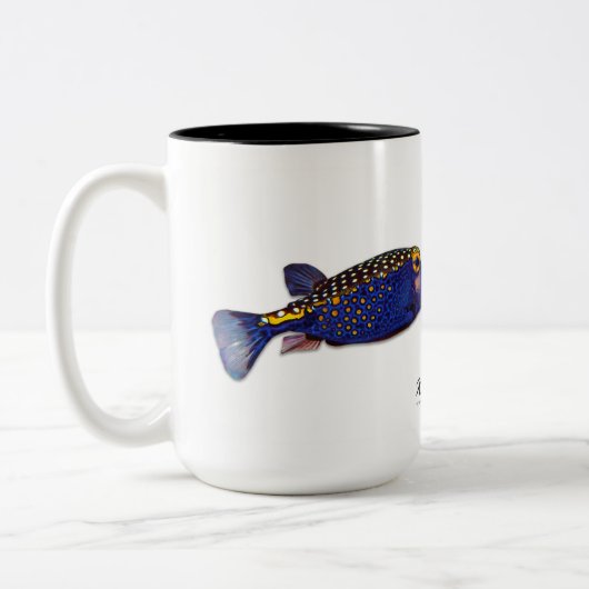 Gepunktete Tasse Boxfish, Ostracion meleagris (Links)
