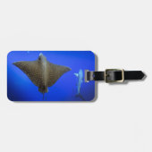 Gepunkteter Adlerrochen und Galapagos-Riffhai Gepäckanhänger (Vorderseite horizontal)