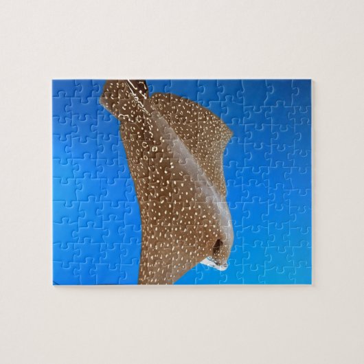 Gepunkteter Adlerrochen unter Wasser Galapagos Puzzle (Horizontal)