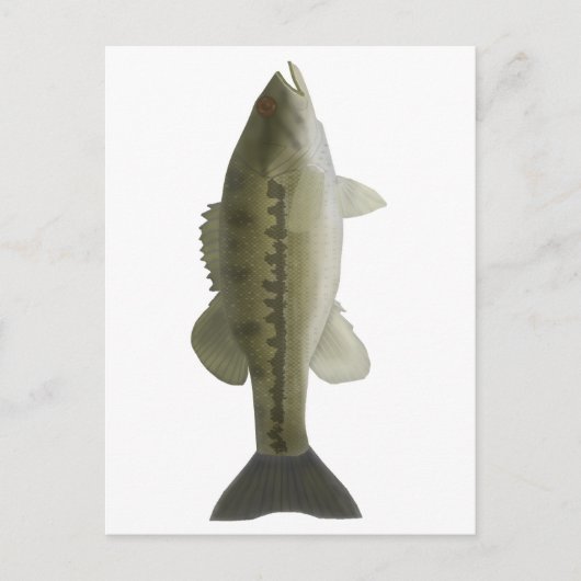 Gepunkteter Bass Postkarte (Vorderseite)