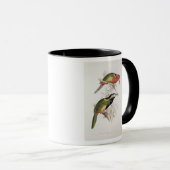 Gepunkteter Bill Aracari, 19. Jahrhundert Tasse (VorderseiteRechts)
