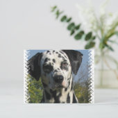 Gepunkteter Dalmatiner Postkarte (Stehend Vorderseite)