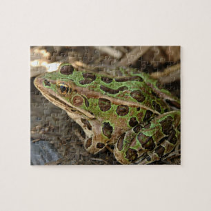 Gepunkteter Frosch Puzzle