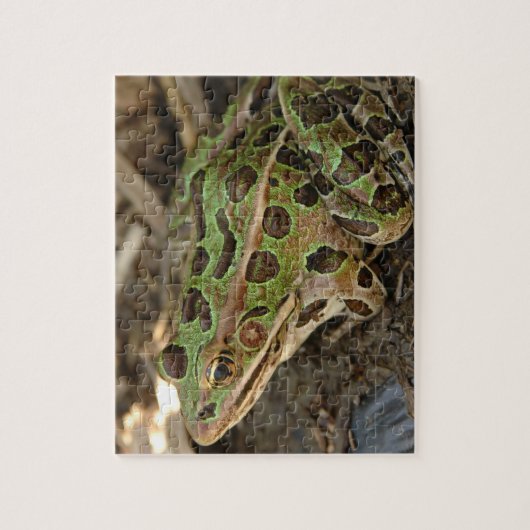 Gepunkteter Frosch Puzzle (Vertikal)