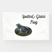 Gepunkteter Grasfrosch, Banner (Horizontal)
