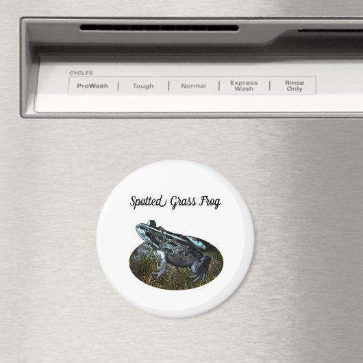 Gepunkteter Grasfrosch, Magnet (In Situ (Geschirrspüler))