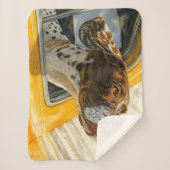 Gepunkteter Hund auf Autofahrten Kunstdrucken Sherpadecke (Vorderseite)