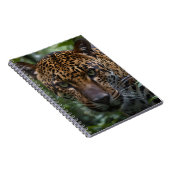 Gepunkteter Jaguar stürzt in den Wald, Notizblock (Rechte Seite)