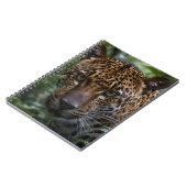 Gepunkteter Jaguar stürzt in den Wald, Notizblock (Linke Seite)