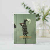 Gepunkteter Kofferraum; Museumsausstellung Postkarte (Stehend Vorderseite)