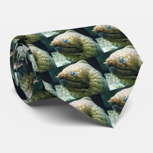 Gepunkteter Moray-Aal Krawatte (Gerollt)