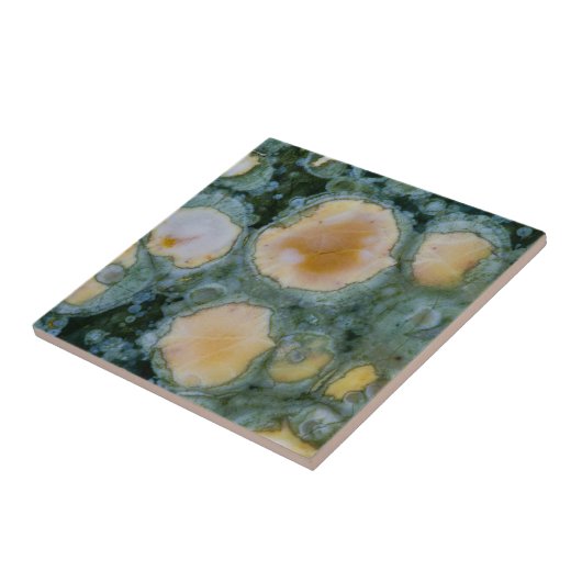 Gepunkteter Ozean-Jasper Fliese (Seite)