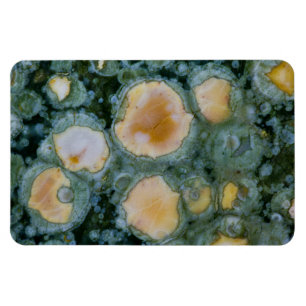 Gepunkteter Ozean-Jasper Magnet