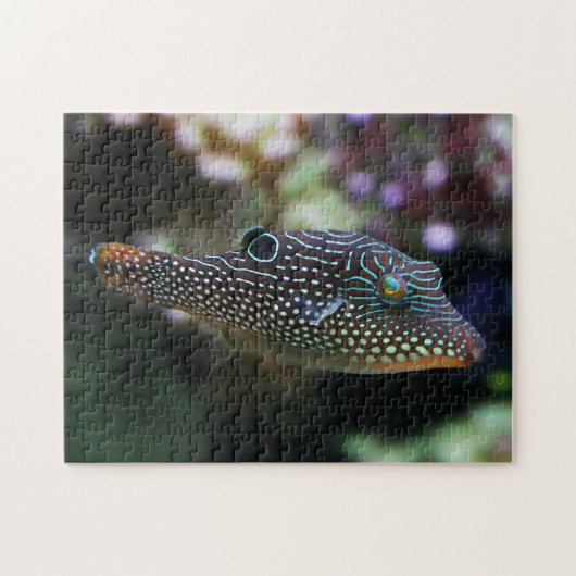 Gepunkteter Puffer Puzzle (Horizontal)