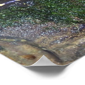 Gepunkteter Salamander, schwarz und gelb Poster (Ecke)