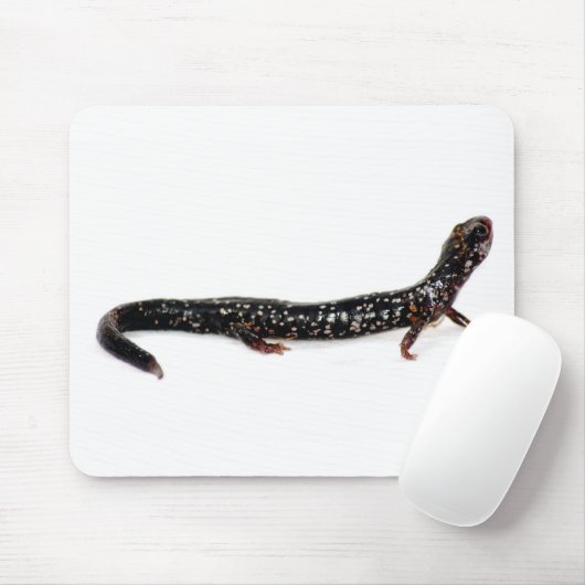 gepunkteter Salamander von Nordamerika mousepad (Mit Mouse)