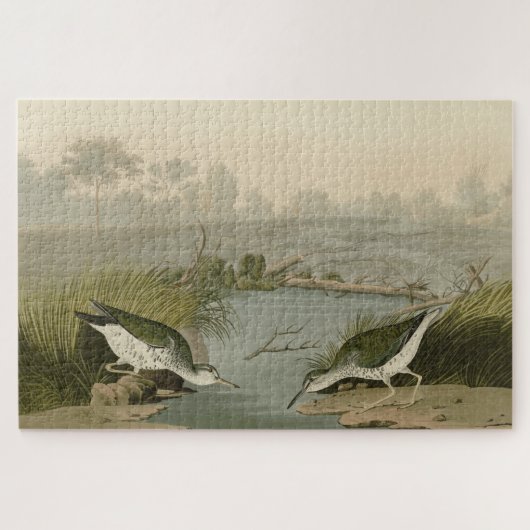 Gepunkteter Sandpiper von Audubons Vögeln in Ameri Puzzle (Horizontal)