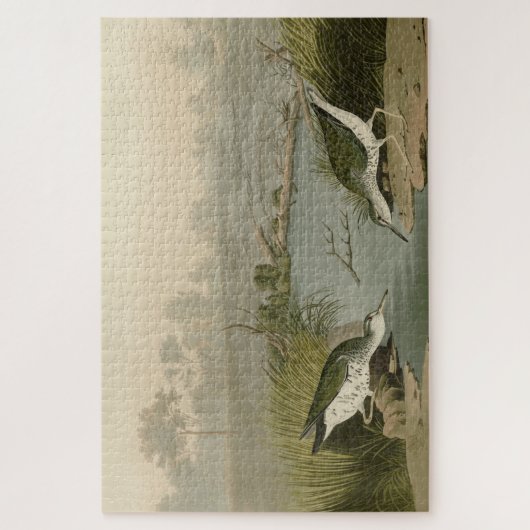 Gepunkteter Sandpiper von Audubons Vögeln in Ameri Puzzle (Vertikal)