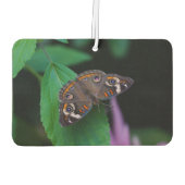 Gepunkteter Schmetterling Autolufterfrischer (Rückseite)