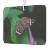 Gepunkteter Schmetterling Autolufterfrischer (Links)