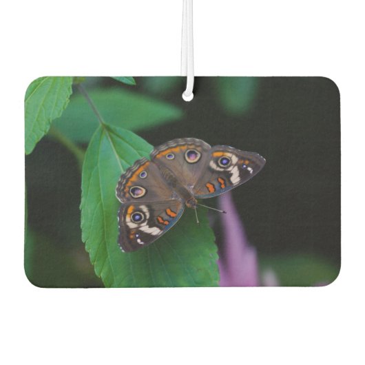 Gepunkteter Schmetterling Autolufterfrischer (Vorderseite)