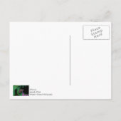 Gepunkteter Schmetterling Danke, Postcard Postkarte (Rückseite)