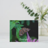 Gepunkteter Schmetterling Danke, Postcard Postkarte (Stehend Vorderseite)