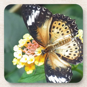 Gepunkteter Schmetterling Getränkeuntersetzer