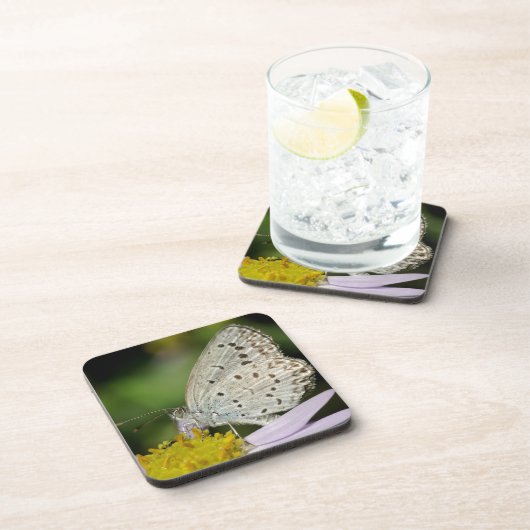 Gepunkteter Schmetterling Getränkeuntersetzer (Rechte Seite)