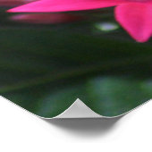 Gepunkteter Schmetterling in Schwarz und Orange 2 Poster (Ecke)