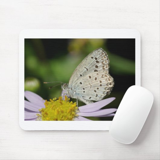 Gepunkteter Schmetterling Mousepad (Mit Mouse)