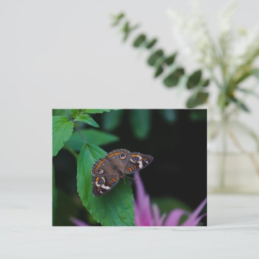 Gepunkteter Schmetterling Postkarte (Stehend Vorderseite)