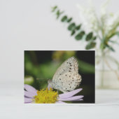Gepunkteter Schmetterling Postkarte (Stehend Vorderseite)